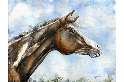Topper - watercolor horse painting
