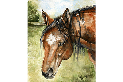 Rodeo - watercolor horse painting