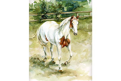 CR - watercolor horse painting