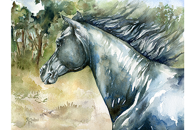 Niek - watercolor Friesian horse painting