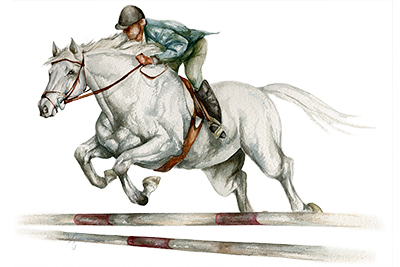 Jumper - watercolor horse painting
